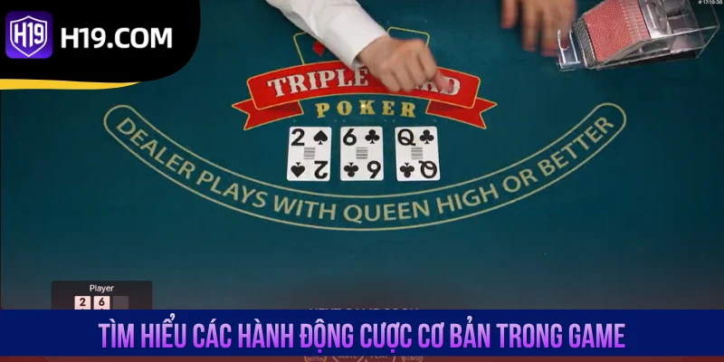 Tìm hiểu các hành động cược cơ bản trong game